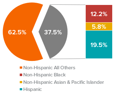 US Pop by 2019 Ethnic Group