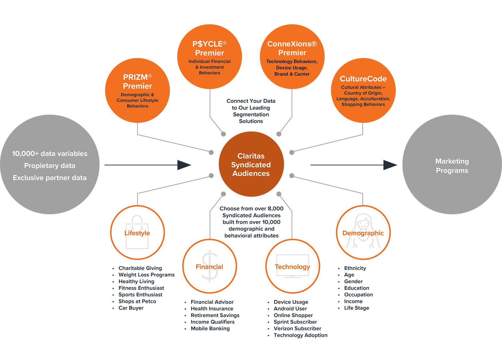 Syndicated Segmentation_imagedesktop_audiences